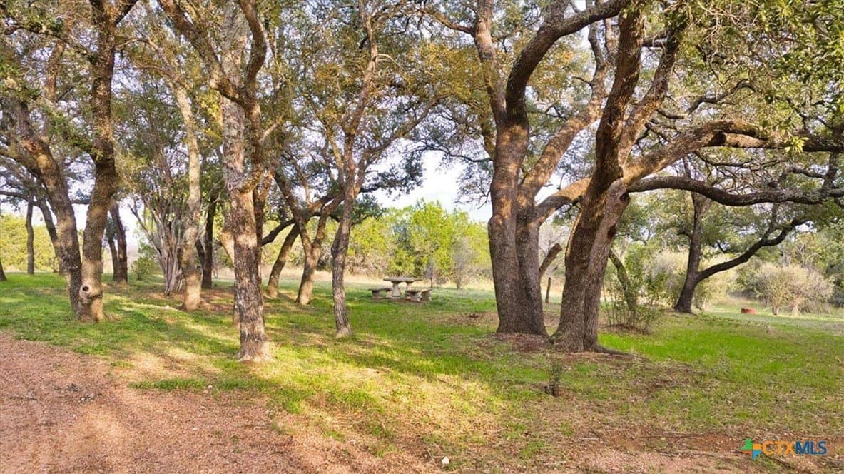 10 acres in Burnet County - photo 9