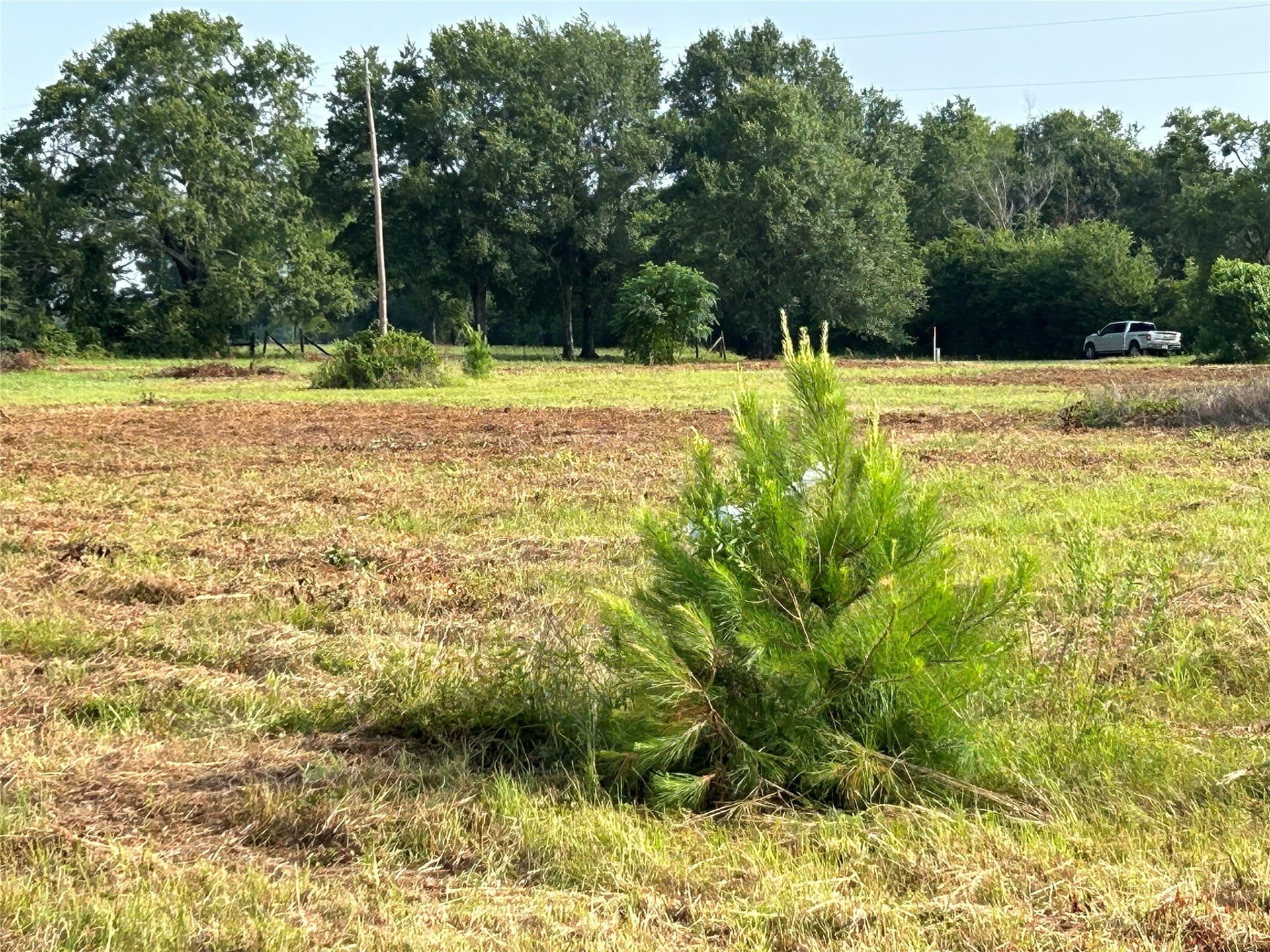 6.96 acres in Anderson County - photo 23