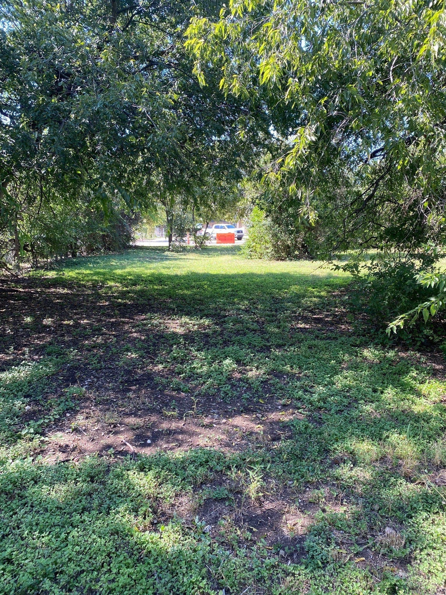 0.2 acres in Bell County - photo 6