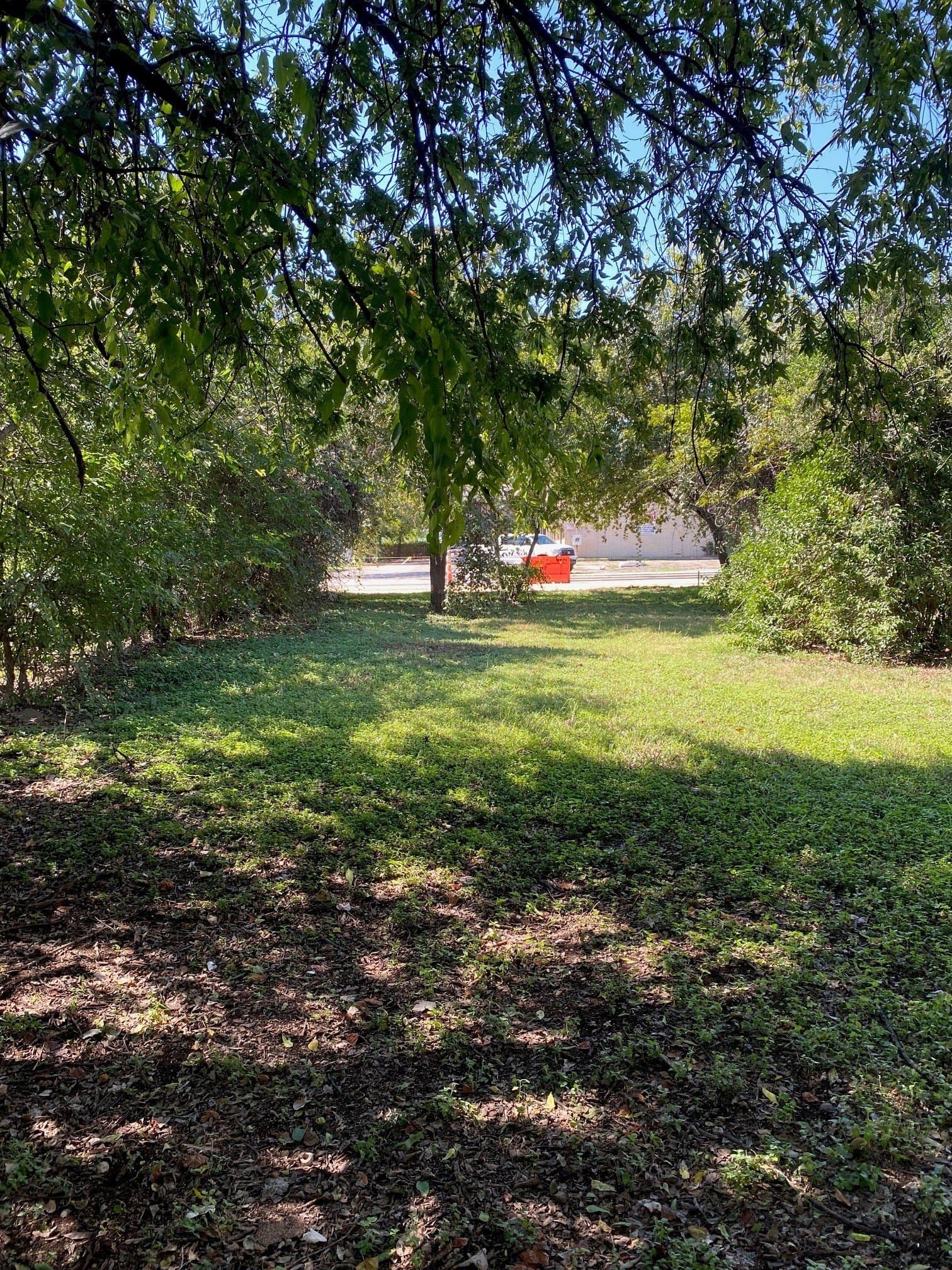 0.2 acres in Bell County - photo 9