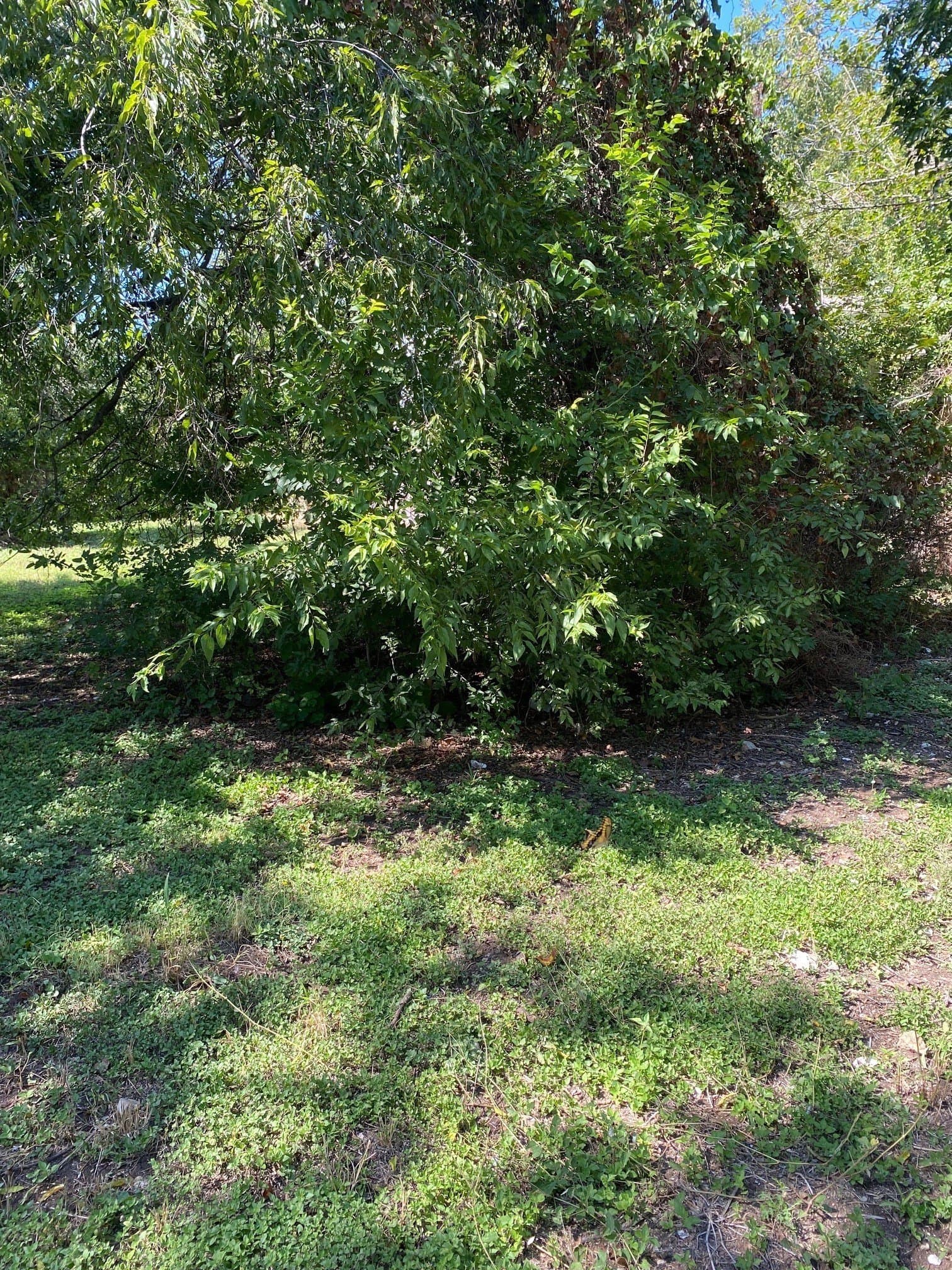 0.2 acres in Bell County featured view