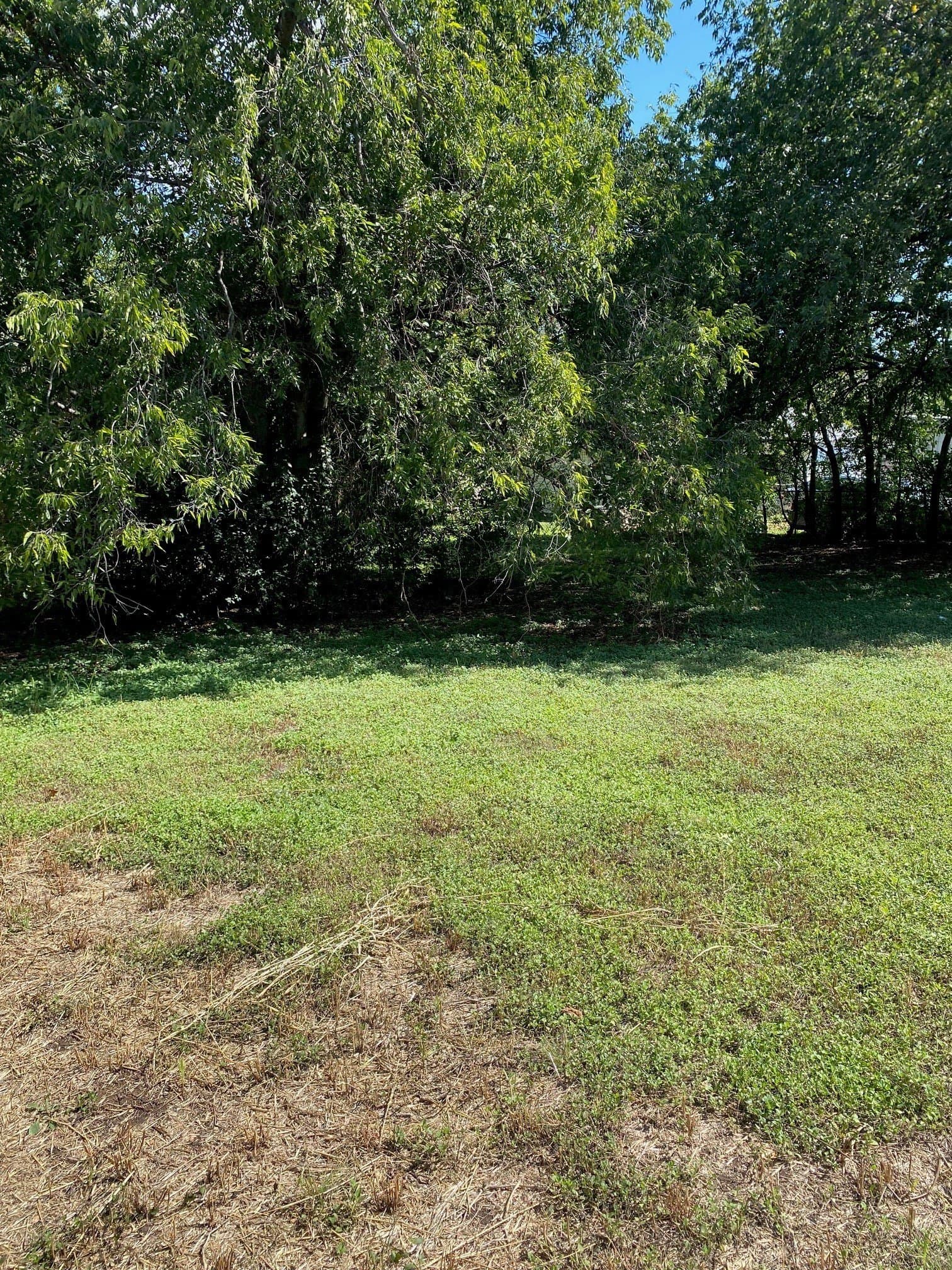 0.2 acres in Bell County gallery image 4