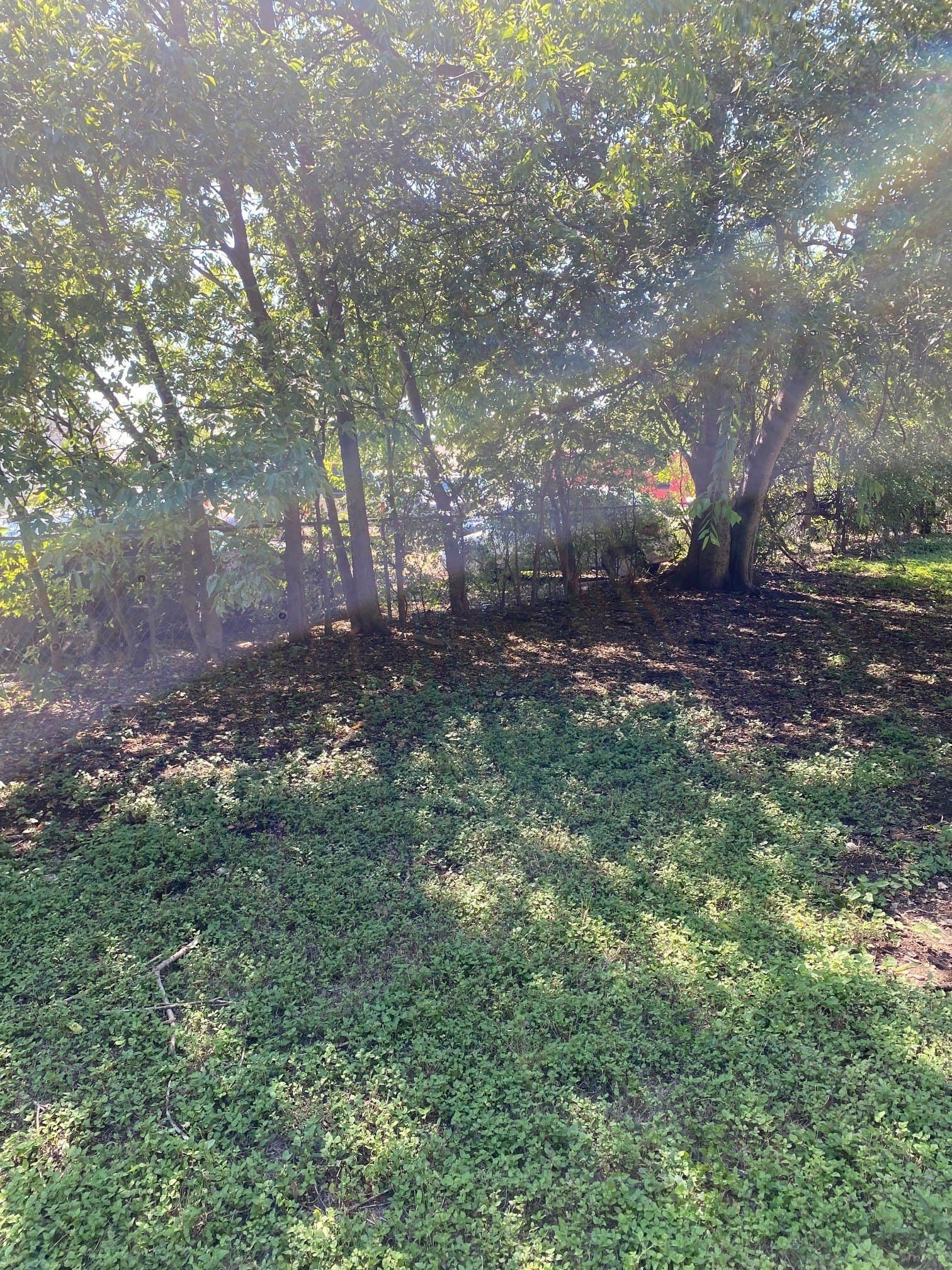 0.2 acres in Bell County - photo 7