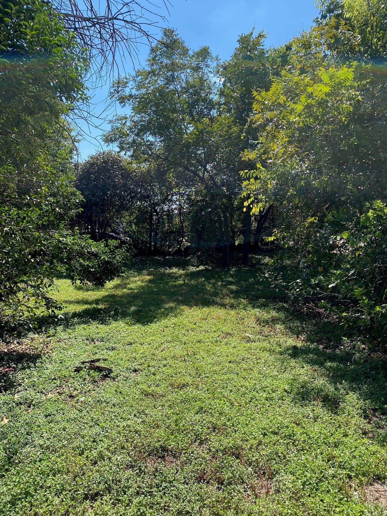 0.2 acres in Bell County gallery image 2