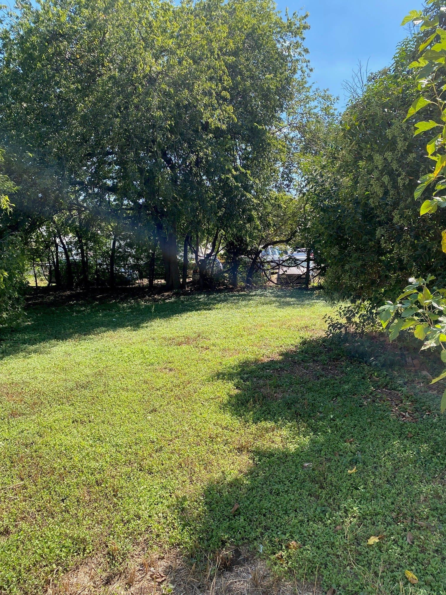0.2 acres in Bell County gallery image 3