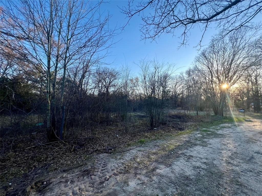 0.25 acres in Hunt County gallery image 3