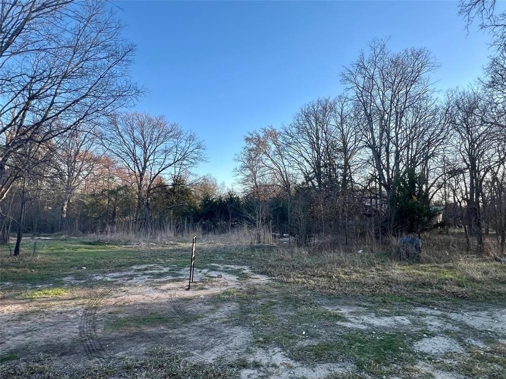 0.25 acres in Hunt County gallery image 2