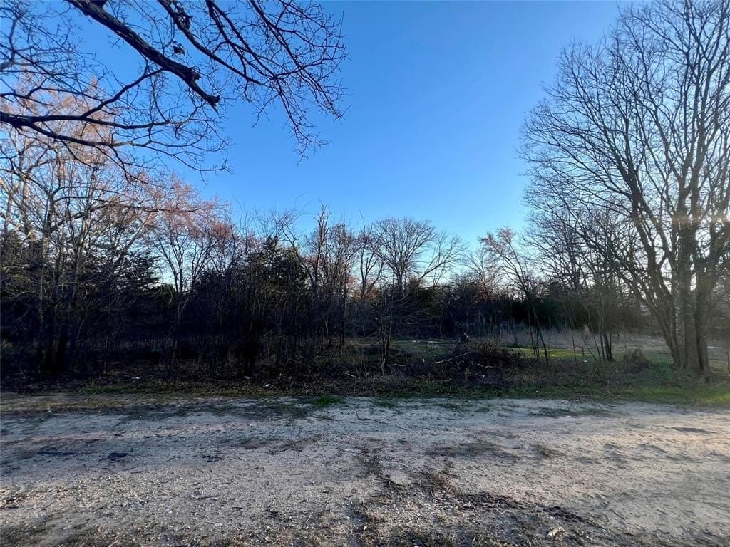 0.25 acres in Hunt County gallery image 4