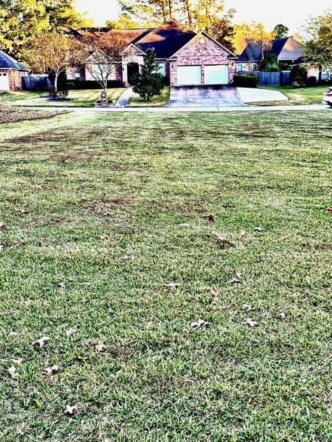 0.27 acres in Texas County featured view