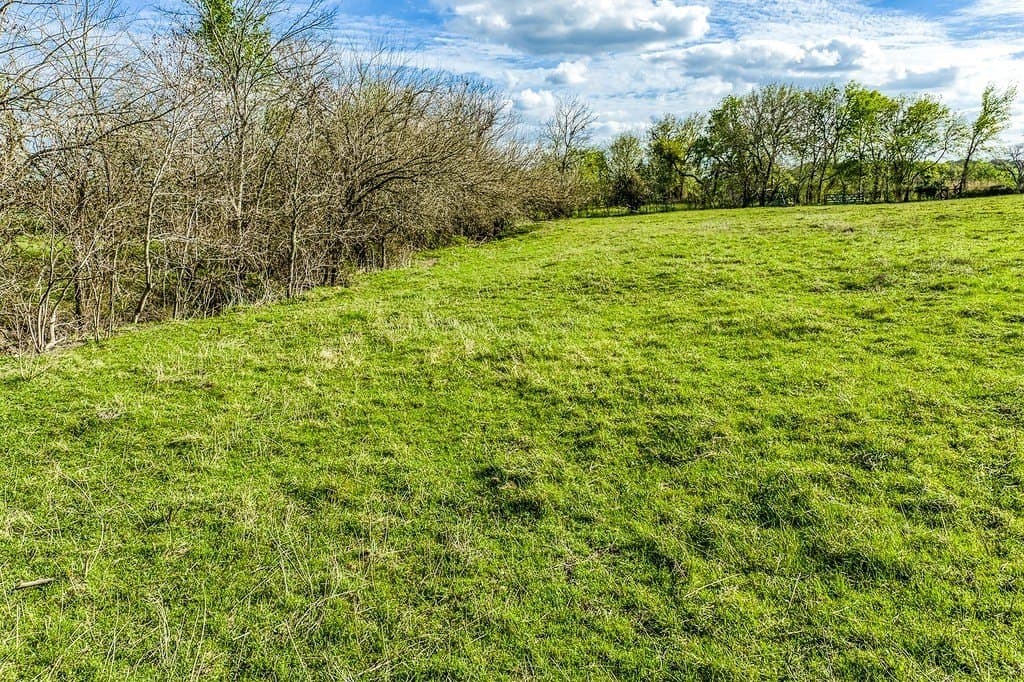 35 acres in Washington County - photo 10