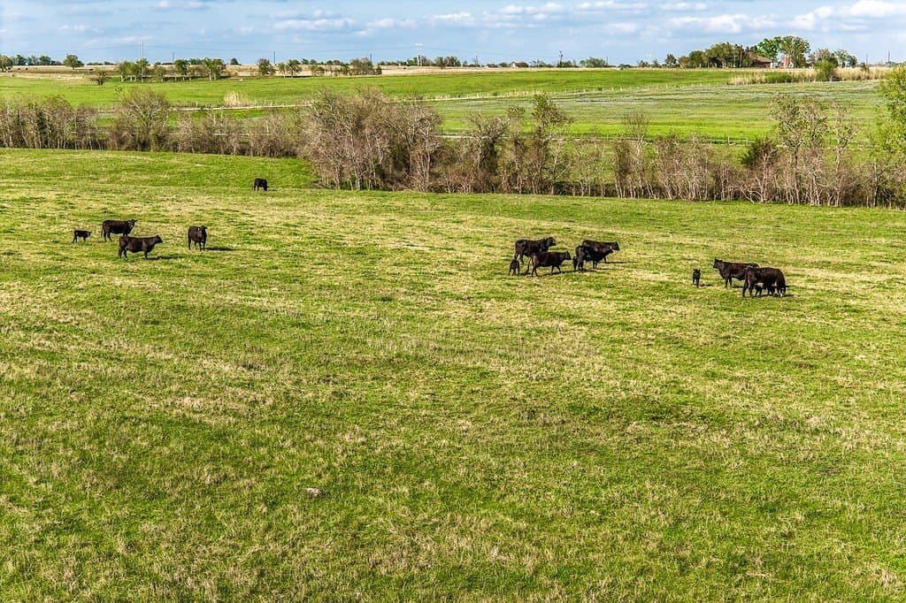 35 acres in Washington County - photo 8