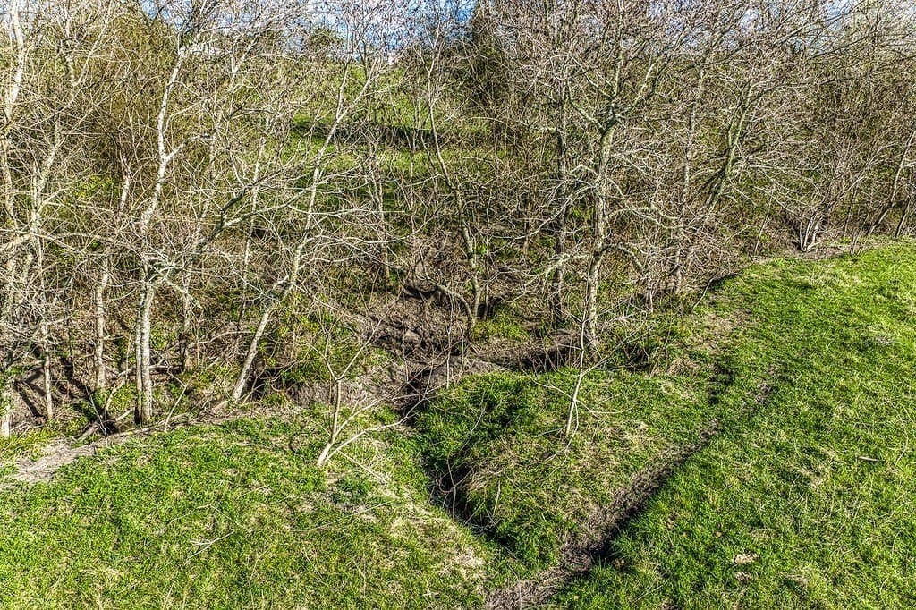 35 acres in Washington County - photo 11