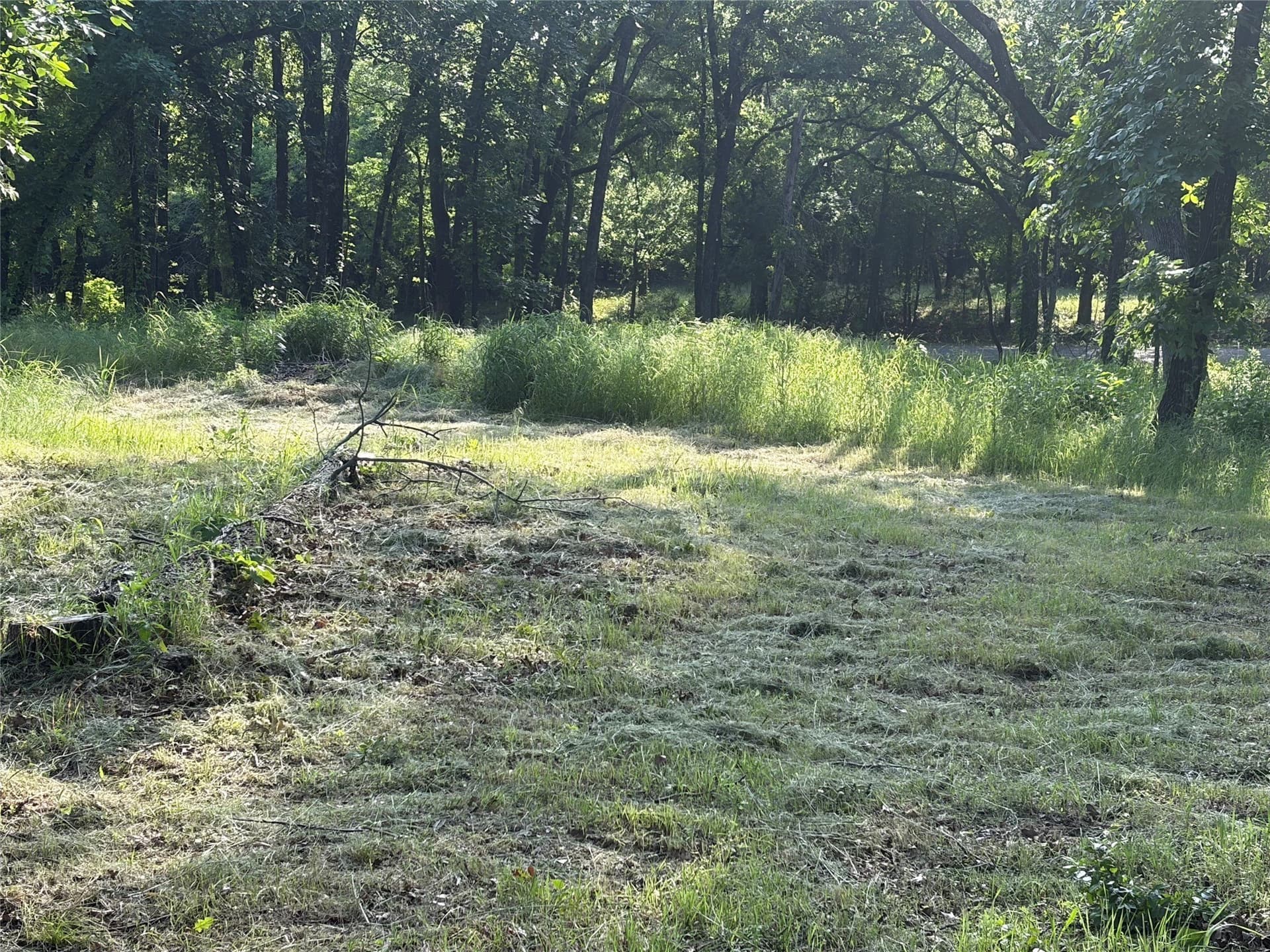 1.09 acres in Grayson County gallery image 4