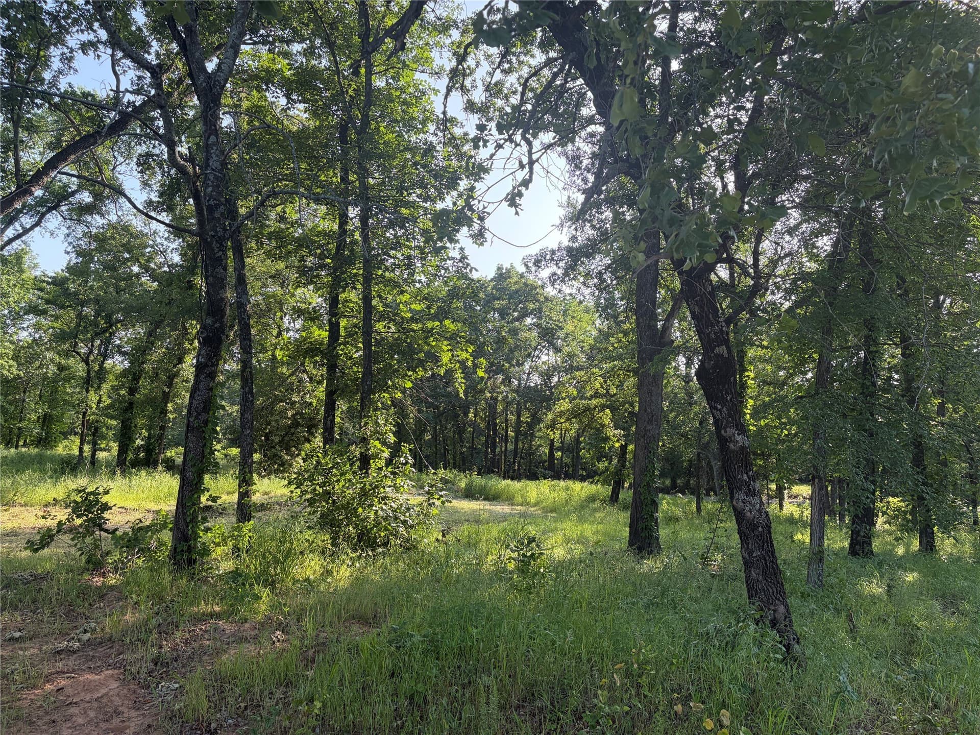 1.09 acres in Grayson County gallery image 2