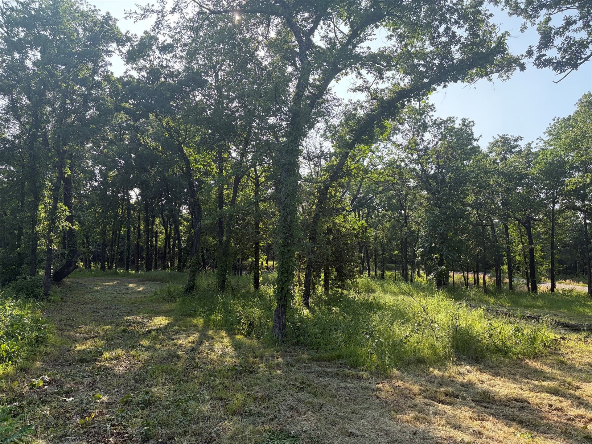 1.09 acres in Grayson County - photo 8