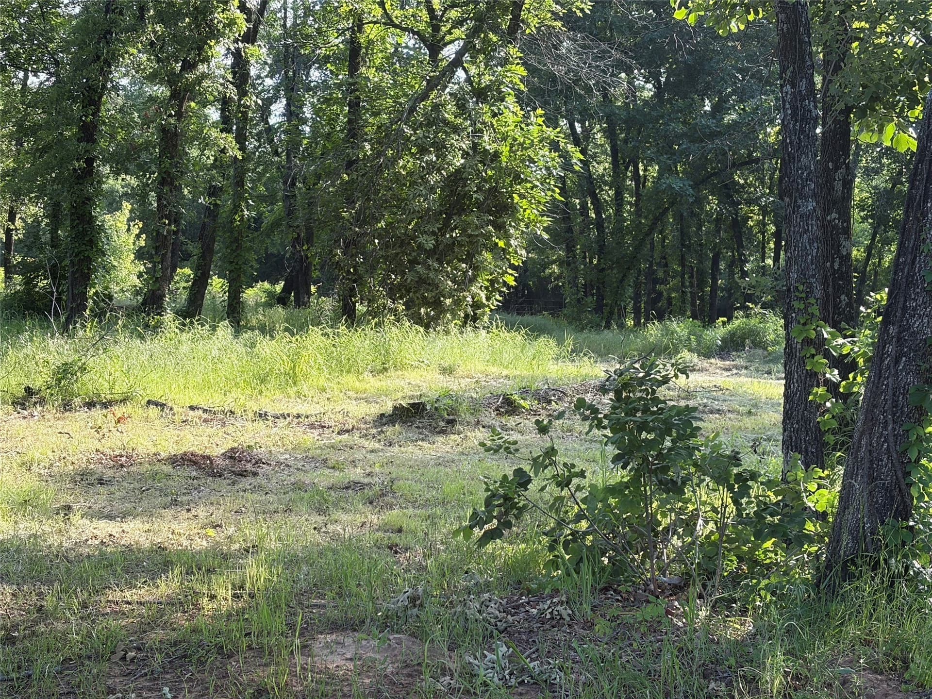 1.09 acres in Grayson County gallery image 3