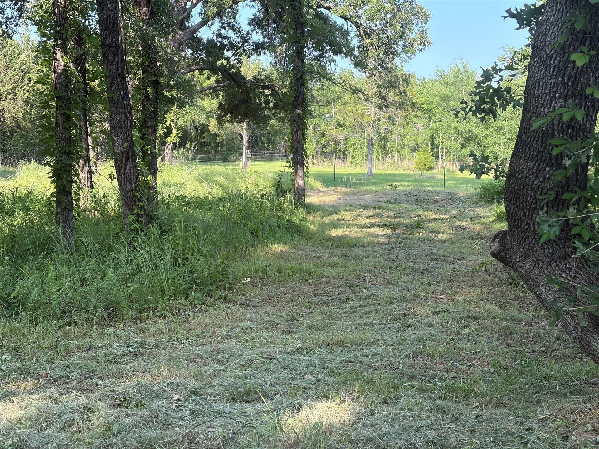 1.09 acres in Grayson County - photo 6