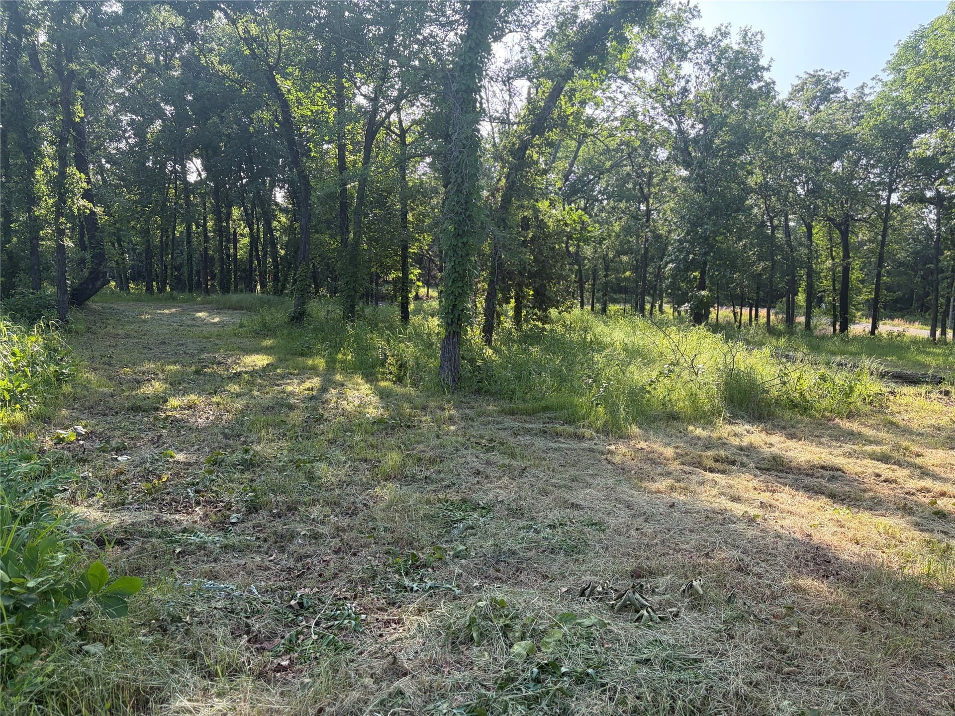 1.09 acres in Grayson County - photo 7