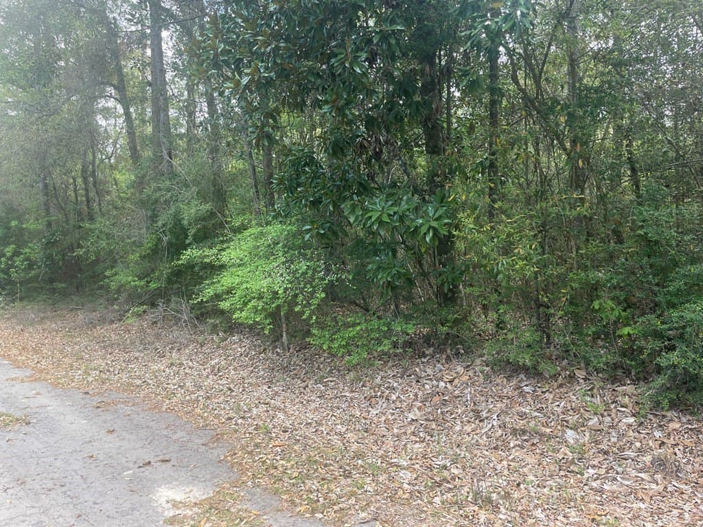 0.29 acres in Texas County gallery image 4