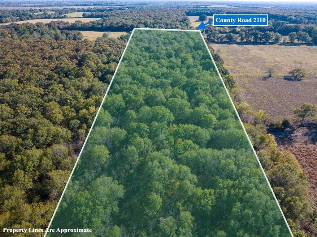 20 acres in Red River (TX) County gallery image 2