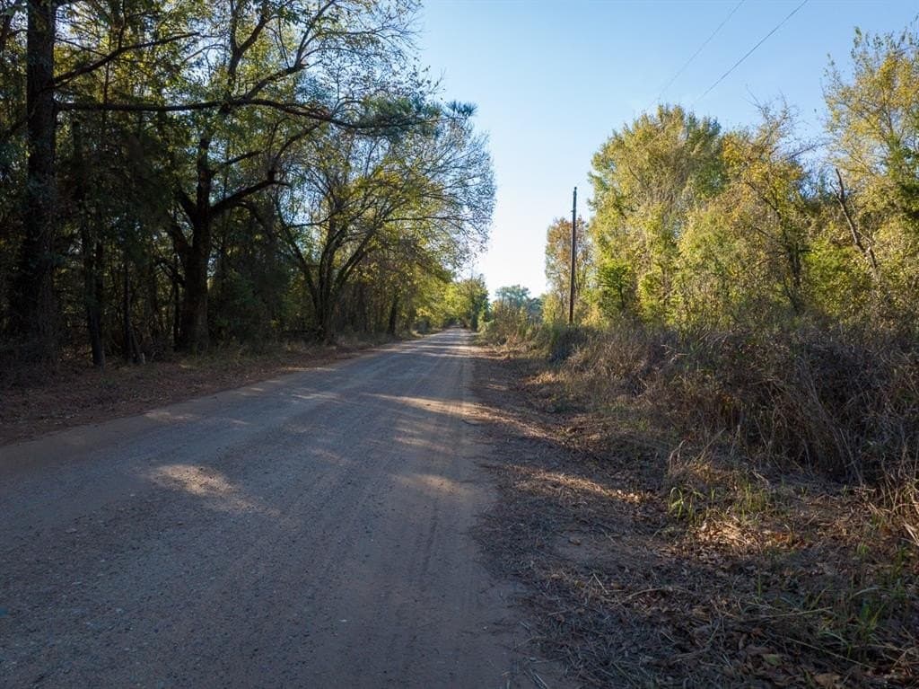 20 acres in Red River (TX) County gallery image 4