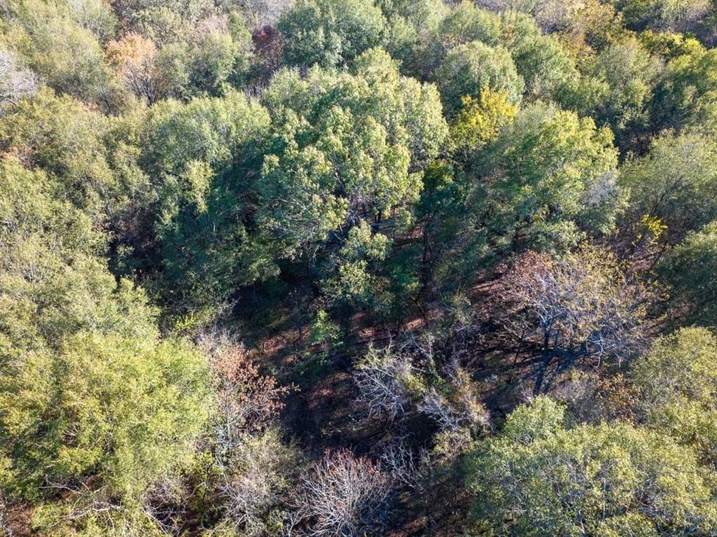 20 acres in Red River (TX) County featured view