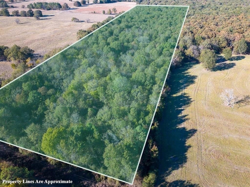20 acres in Red River (TX) County gallery image 3