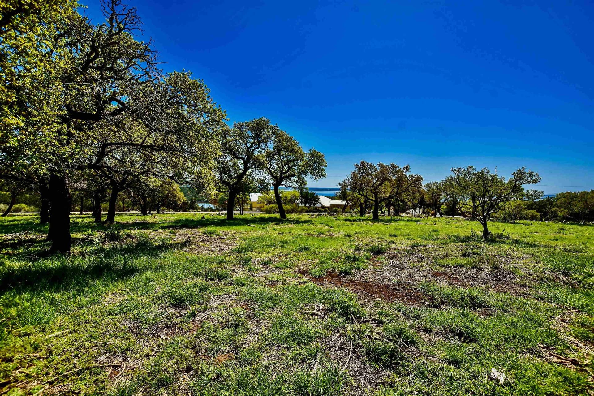 1.83 acres in Burnet County gallery image 4
