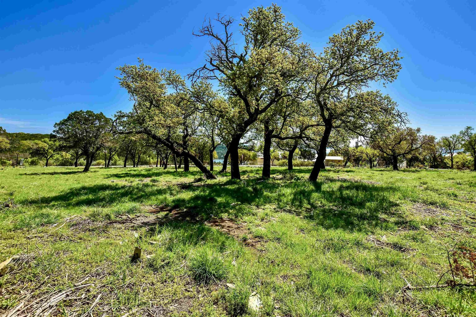 1.83 acres in Burnet County - photo 9