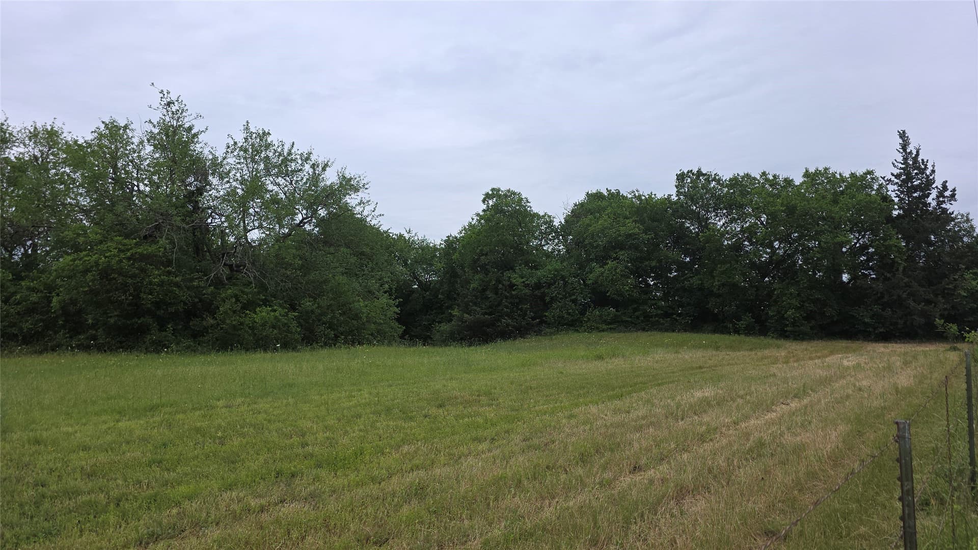 20.16 acres in Fannin County - photo 8