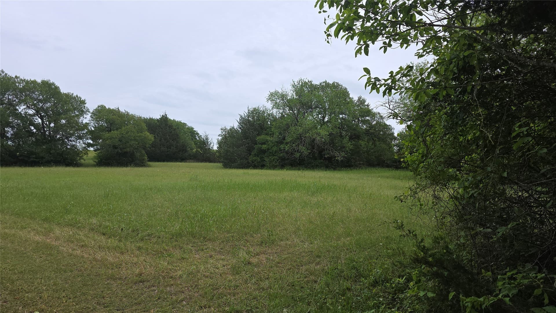 20.16 acres in Fannin County - photo 12
