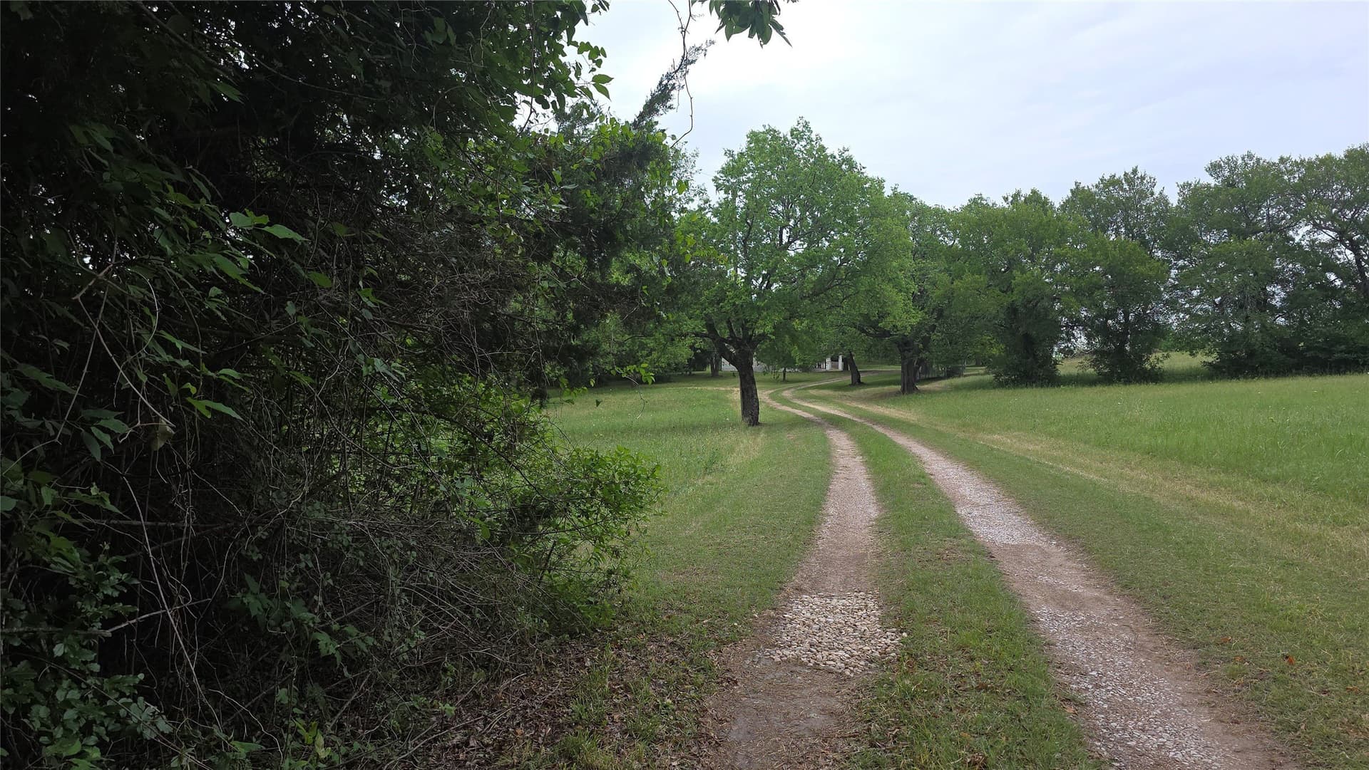 20.16 acres in Fannin County - photo 11