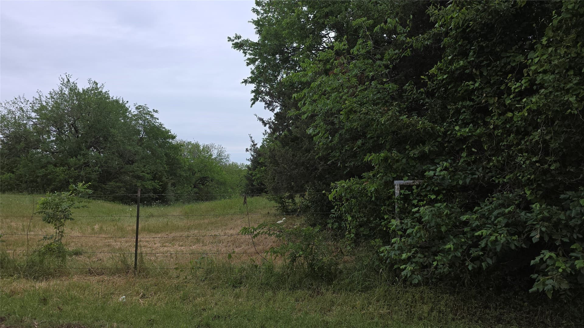 20.16 acres in Fannin County - photo 10