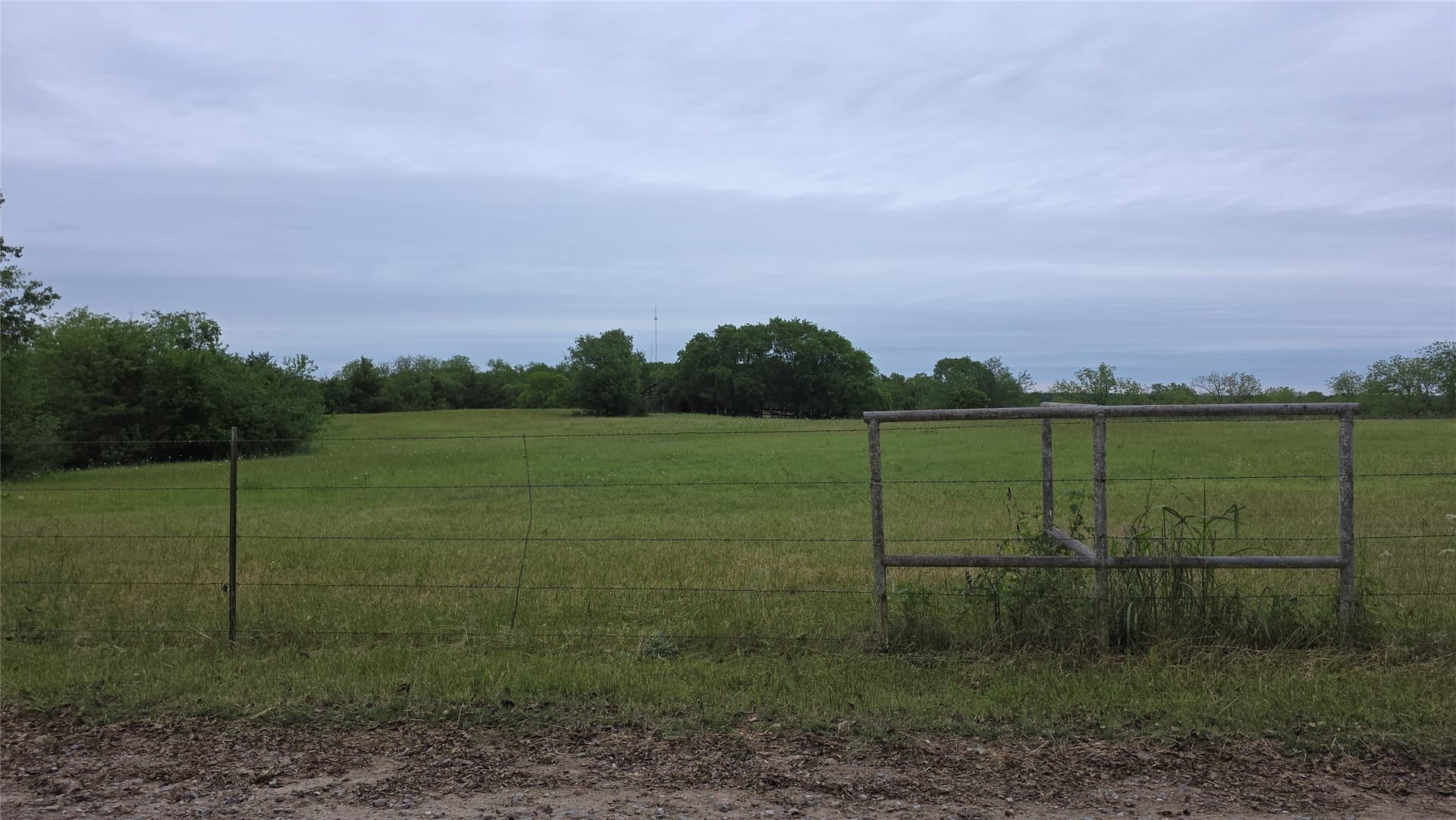 20.16 acres in Fannin County featured view