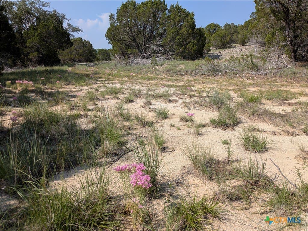 10.01 acres in Lampasas County - photo 3