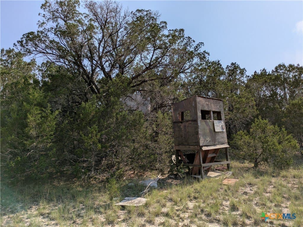 10.01 acres in Lampasas County - photo 4