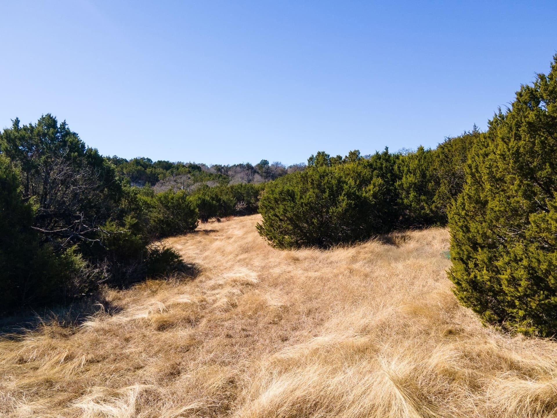 10.77 acres in Lampasas County featured view