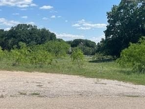 0.34 acres in Hill County - photo 2