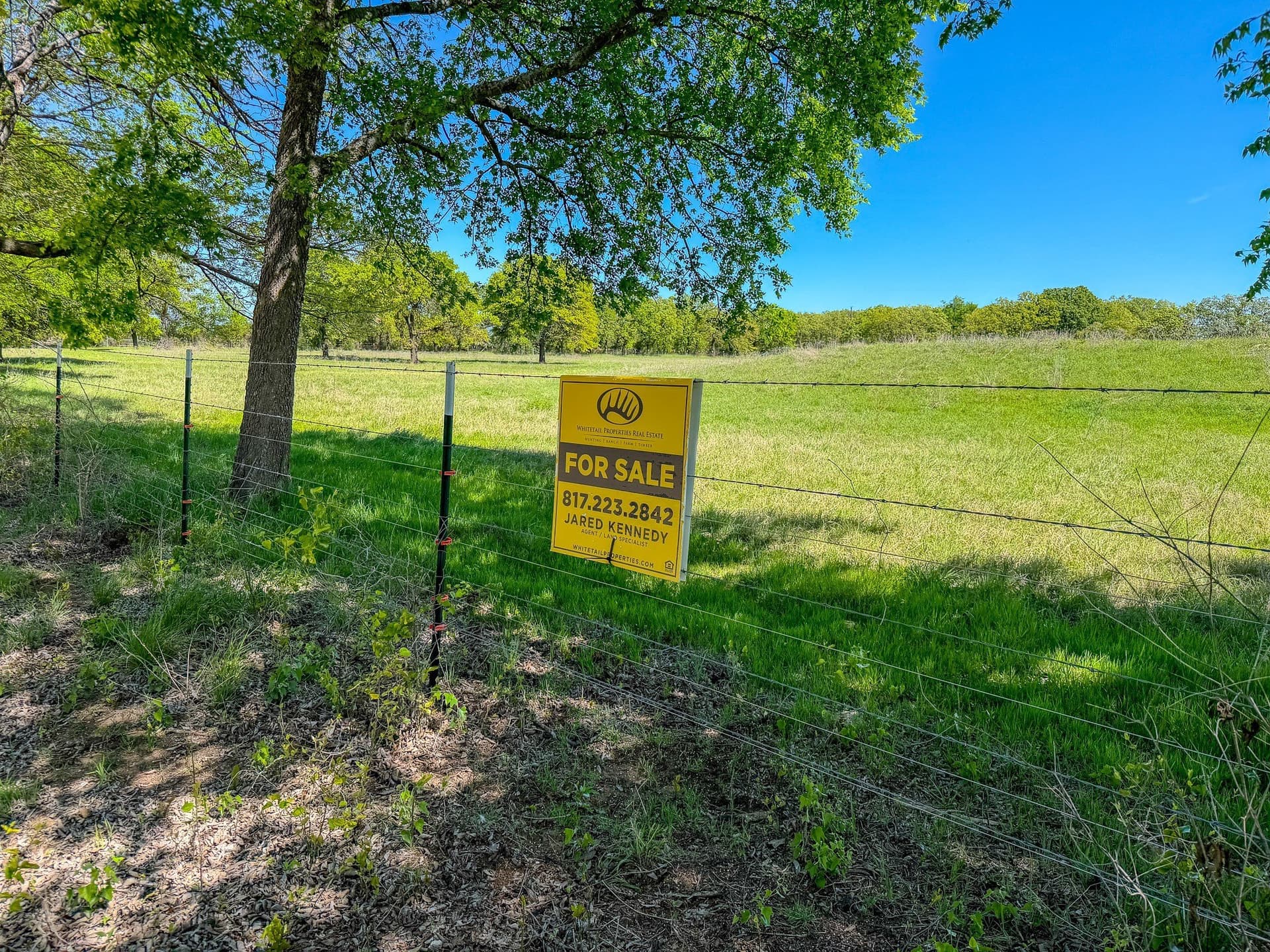 49.54 acres in Montague County - photo 6