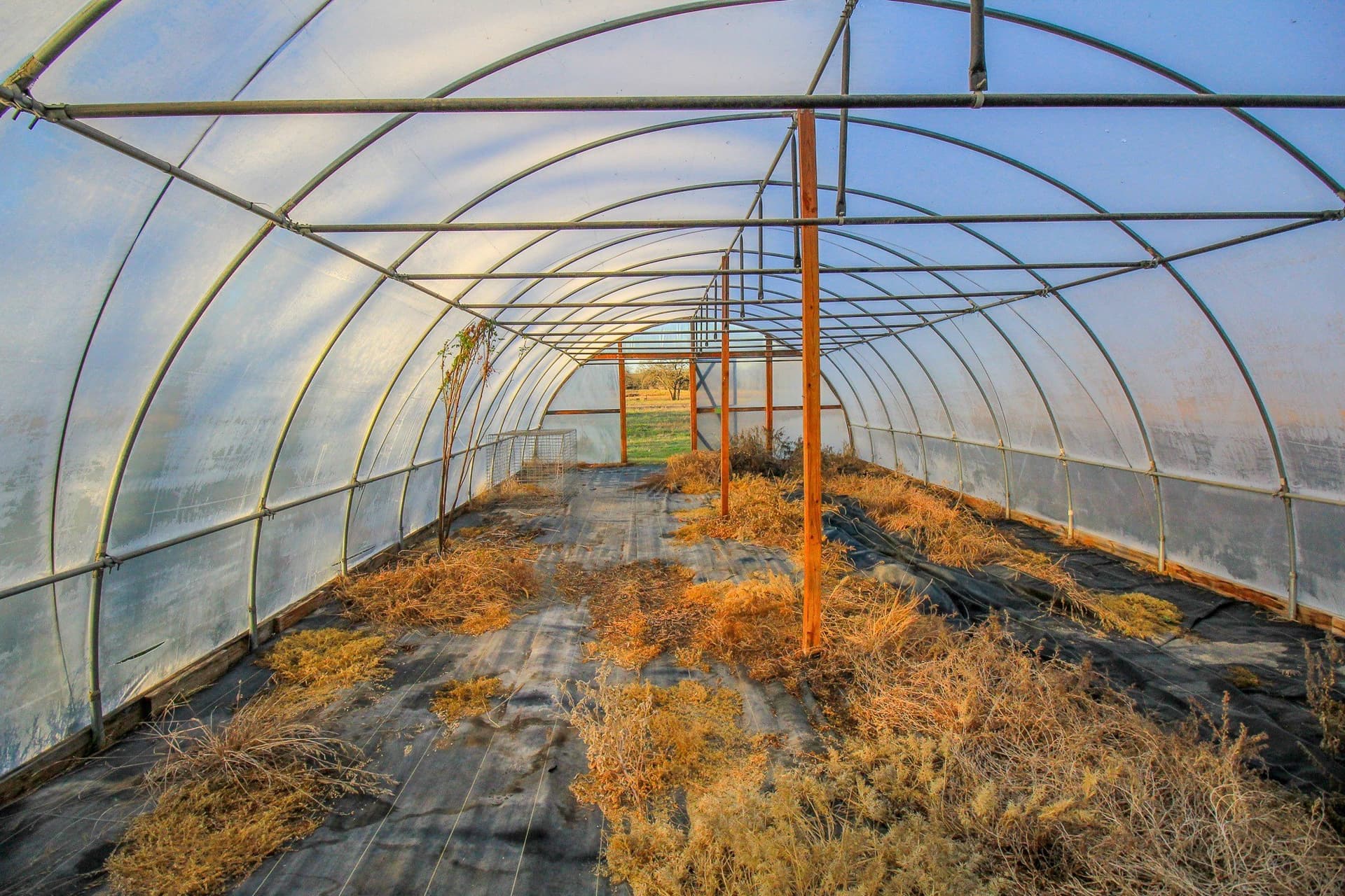 49.54 acres in Montague County - photo 10