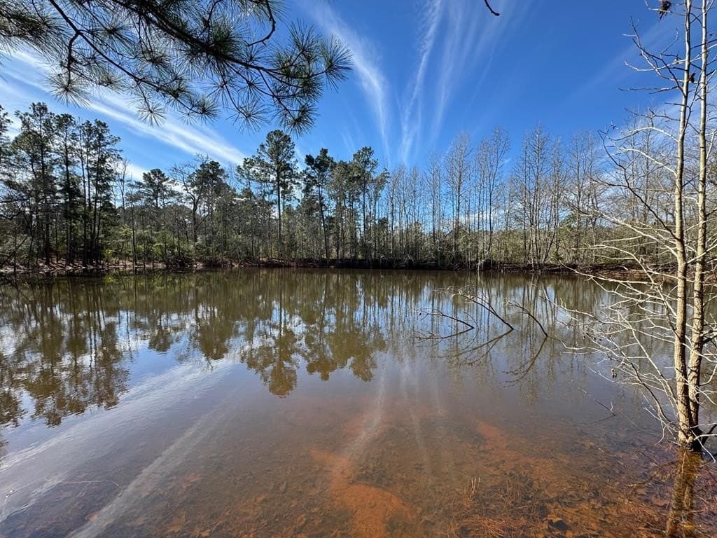 12.54 acres in Texas County gallery image 2