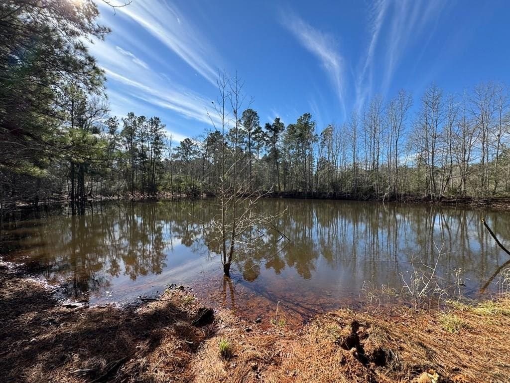 12.54 acres in Texas County