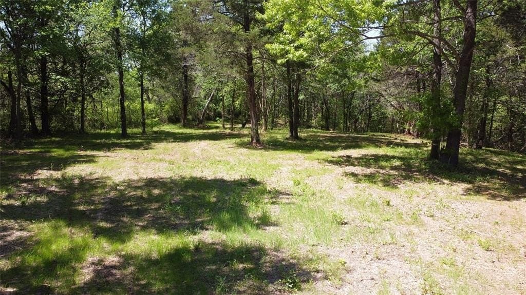 3 acres in Grayson County gallery image 2