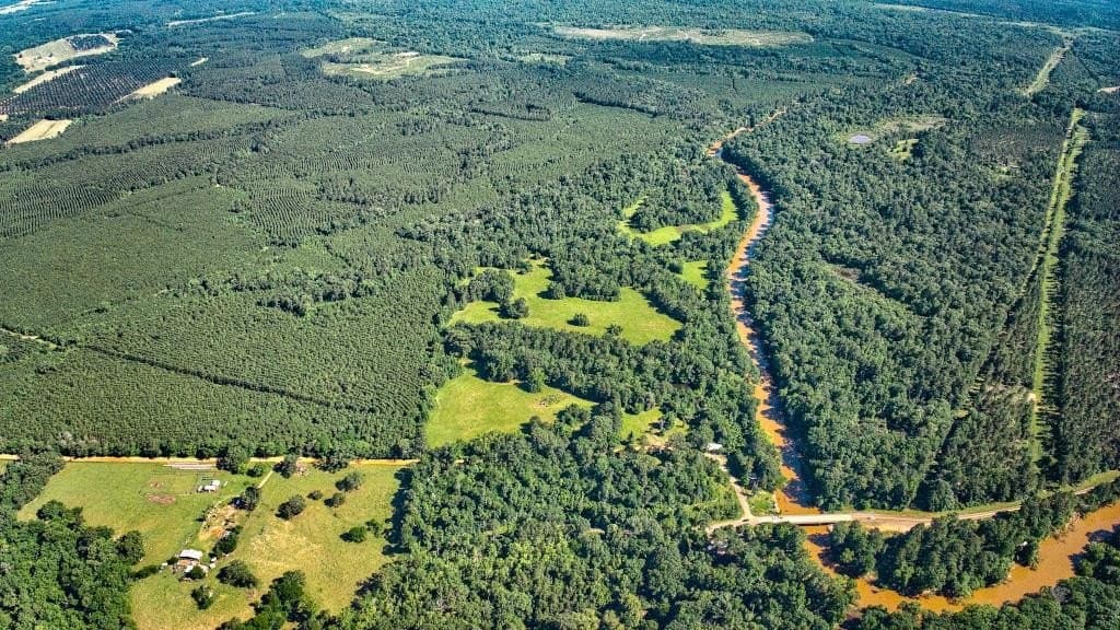 103.09 acres in Texas County gallery image 3