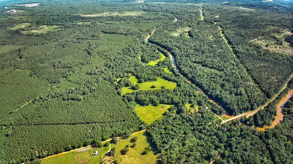 103.09 acres in Texas County gallery image 4