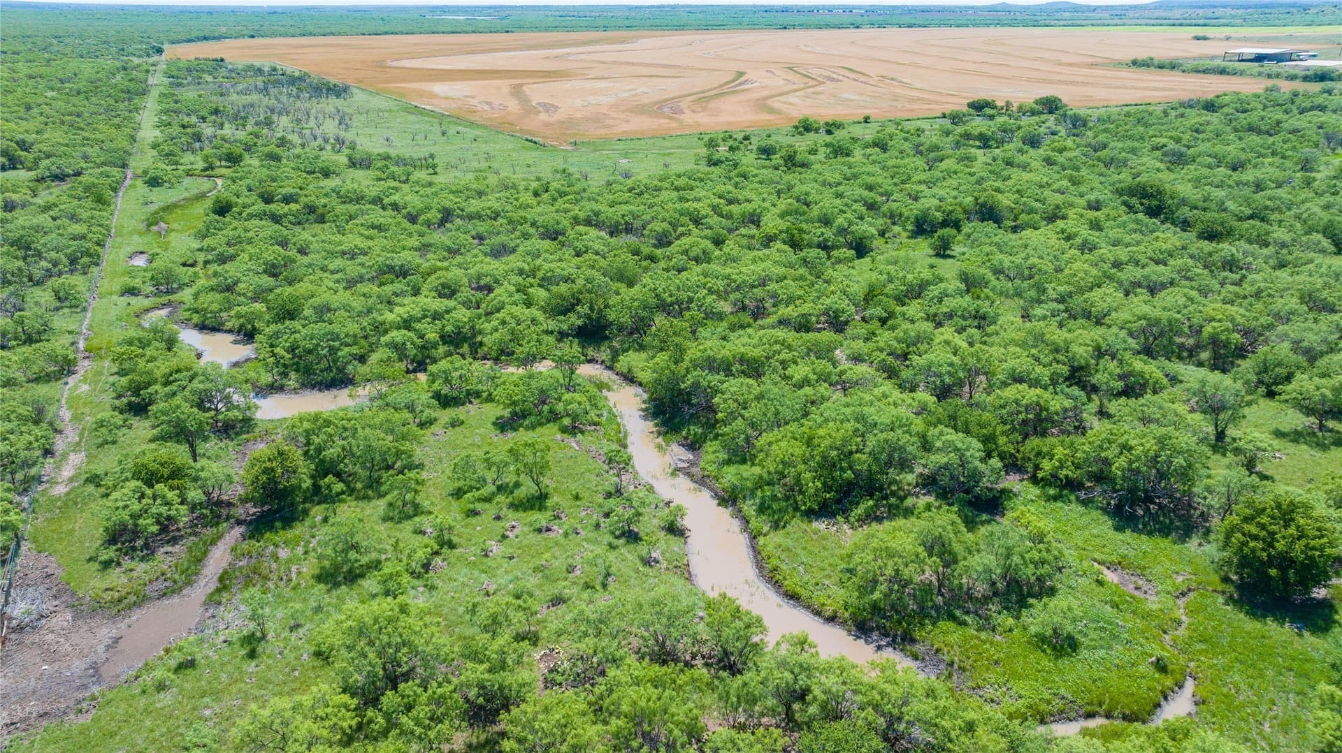 535.5 acres in Taylor County - photo 13