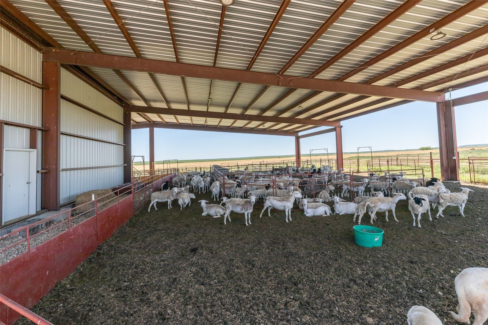 535.5 acres in Taylor County - photo 5