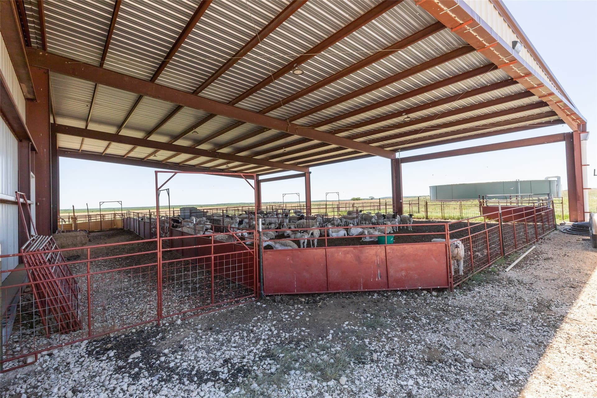 535.5 acres in Taylor County - photo 4