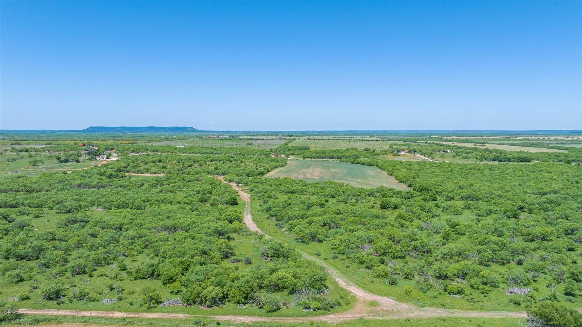 535.5 acres in Taylor County - photo 17