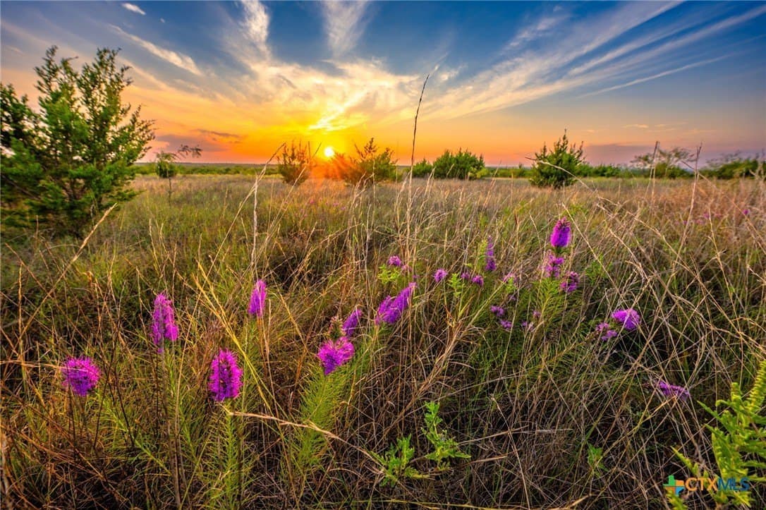 20 acres in Burnet County - photo 25